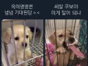 블리치 옥이명명편 기대되는 이유.jpg