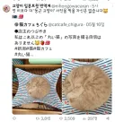둥근 고양이 트윗