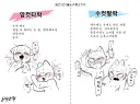 암컷타락과 수컷탈락의 차이점
