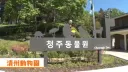 한국 오면 술 많이 먹는 걸로 유명한 일본 아저씨 근황
