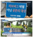 러브버그맘 등장