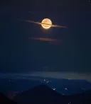 새벽 커뮤하는 이유...ㄹㅇ...txt