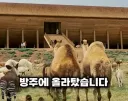 에반 올마이티 내용만 대충 아는데