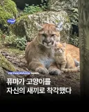 "우리 애는 왜이리 안크지 ㅠㅠ"