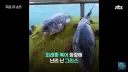 한국의 도움이 긴급히 필요해 보이는 그리스 근황