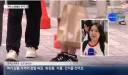 환율 근황