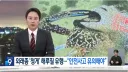 고수온 으로 한국에 나타난 청게