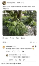 전주인은 널 관상용으로 키웠지 하지만 나는 널 먹을거야