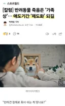 반려동물 죽음은 가족상...애도기간 제도화 되길.