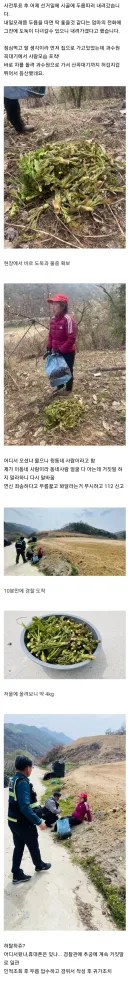 10년 넘게 못 잡던 두릅 도둑이 마침내 잡힌.jpg