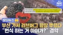 추억의 러브버그 뿌리기