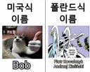 미국 vs 폴란드 이름배틀