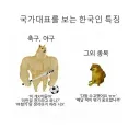 국가대표를 보는 한국인 특징