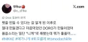 애완용 도로롱