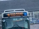 쿡쿡쿡, 한국 관광객놈들. 전부 이곳으로 보내주마