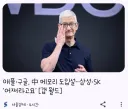 애플 구글, 中 메모리 도입설…삼성 SK '어쩌라고요'