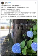 속상한 소식