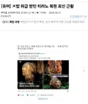 탐사튜브 : "요새 또 인터넷에서 티라노 최신 복원도라며 돌아다니는데."