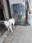 요즘 동네에서 제일 이해가 안 되는 사람..ㅠㅠ