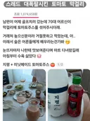 토마토 막걸리