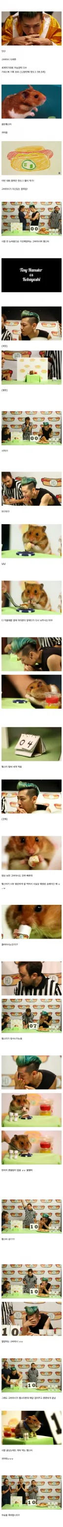 고전) 인간과 햄스터의 많이 먹기 승부
