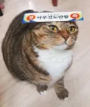 유게이들 논란에 대처하는 유게이