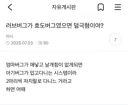 러브버그가 효도버그였으면 덜극혐이야?