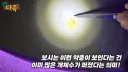바퀴벌레 창궐 때문에 진짜 ㅈ된거 같다는 서울 근황....