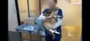 와 고양이 대박 커..고양이가 이만큼 커질수도 있구나