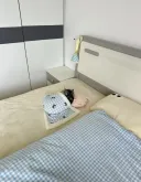 도대체 왜 맨날 새벽 4시에 깨냐고