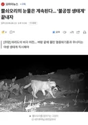 뿔쇠오리의 눈물은 계속된다... '불공정 생태계' 끝내자