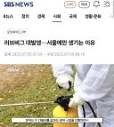 러브버그 살충제로 싹 죽이자고 하기 어려운 이유