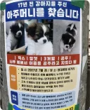17년전 강아지 주신 아주머니 찾던 전단지 근황