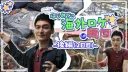 한류 1세대 일본 연예인 근황