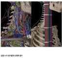 미래 인류.jpg