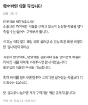 죽어버린 식물 구합니다