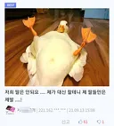 오리 !!! 꽈악 !! 꽈악 ♥