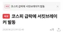 주식) 코스피 급락에 서킷브레이커 발동