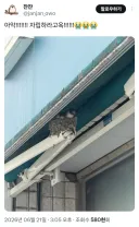 "독립하기 싫어요"...캥거루족 사회문제로