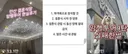 희한한 문화 자리잡은듯한 결혼식 암행투어