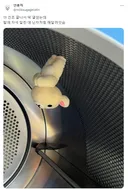 건조기에 넣고 돌린 인형