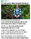 민원 넣어도 해결 안되길래 직접 했는데....jpg