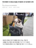 자기집 강아지가 부끄러웠던 사람