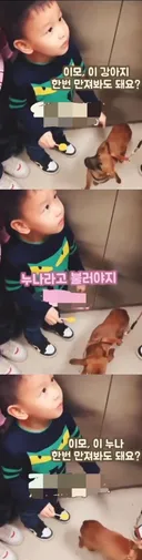 이모 이 강아지 한번 만져봐도 돼요