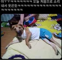 아빠가 우리집 개한테 내 옷 입혔어
