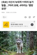 [속보]제2의 늑구 사태 발생