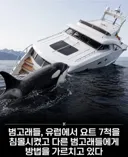 요즘들어 인간들을 공격한다는 동물