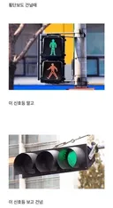 운전 오래한 사람 특