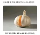 사회생활 하면서 느낀 거