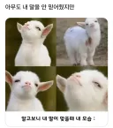 빈유 여자친구랑 사귀어본 남자 특